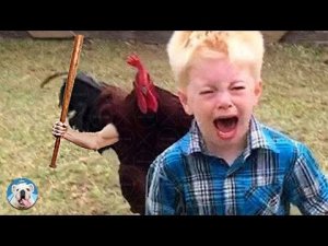 Куриный Троллинг - Смешные видео с Курицей