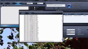 Тест на надежность жесткого диска Seagate-Samsung (model ST1000LM024)