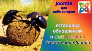 Как обновить Joomla 3. Как проверить наличие обновлений и как откатить ядро Joomla.