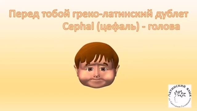 Что такое 