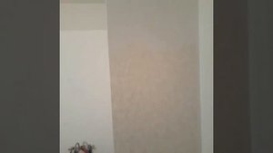 Покраска старых обоев
