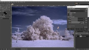 Simple IR image processing with Gimp. We also sell IR converted cameras. Links are in description