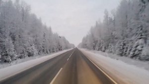 🚚💃🎺То-то - Баяноммай (Спой мне за lifee) Пустая дороша. Мороз 39°🥶 Романтика
