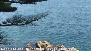 база отдыха Шепалово