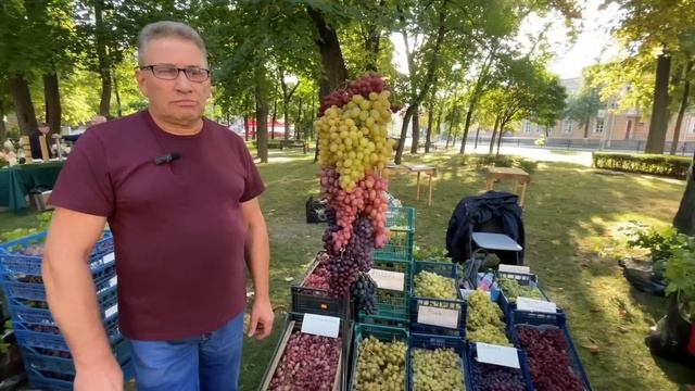 16.09.2023  г.Гомель выставка винограда Беларусь.3 день белорусского винограда часть 1/3