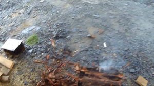 Сливочный сазан в шарабане.  Рыба горячего копчения.