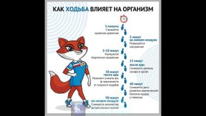 Лайфхак. Как ходьба влияет на организм.