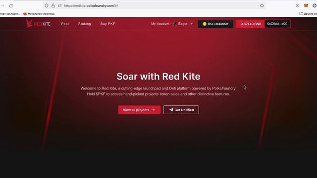 Как участвовать в IDO ? Обзор площадки RED KITE. Участие в Public и communuty раундах смотреть онлайн
