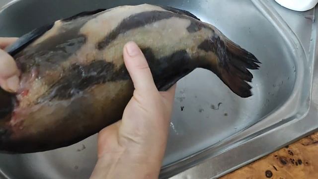 надо ли чистить рыбу Линь ? Видео - ответ на комментарий ..... смотреть онлайн