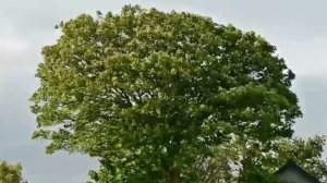 Хорошая песня,,Маленькая деревенька за горой"-Галина гармонист(самоучка)и сватья Нина