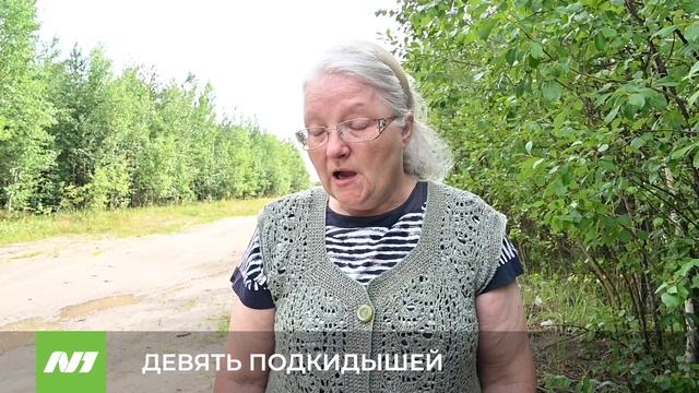 ДЕВЯТЬ ПОДКИДЫШЕЙ