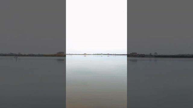 【鄧剛釣魚】野河鰱鳙也瘋狂，半天狂拉200公斤！ 是運氣太好還是開了外掛？