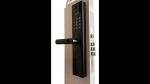 MirLock F773 Электронный замок по отпечатку пальца с видеоглазком