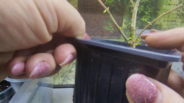 19 февраля 2024 г. смотреть онлайн