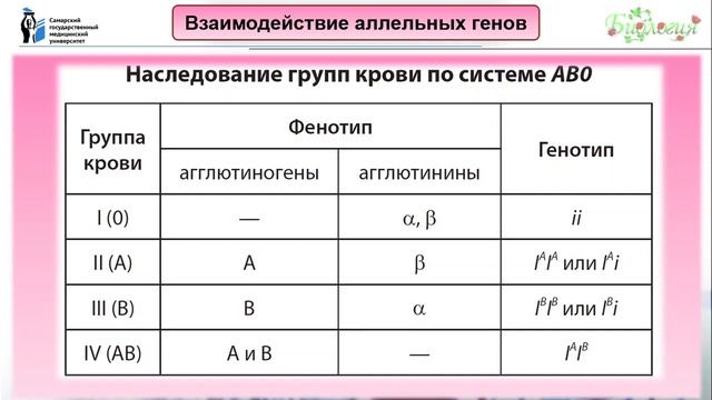 Лекция 10.Генотип как целостная система взаимодействующих генов.