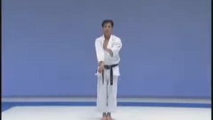 ВАДО - РЮ   ---   КАТА ...Niseshi   kata with bunkai  WORLD WADO