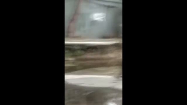 сильвупле