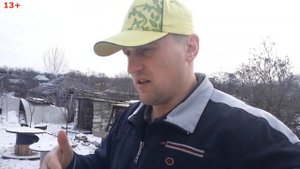 Кормим Амстаффа после жёсткой тренировки. как кормить чтоб собака не толстела???