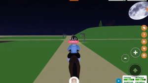 играю в роблокс игра про лошадей