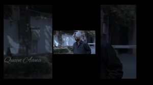 цветы счастья в одной комнате