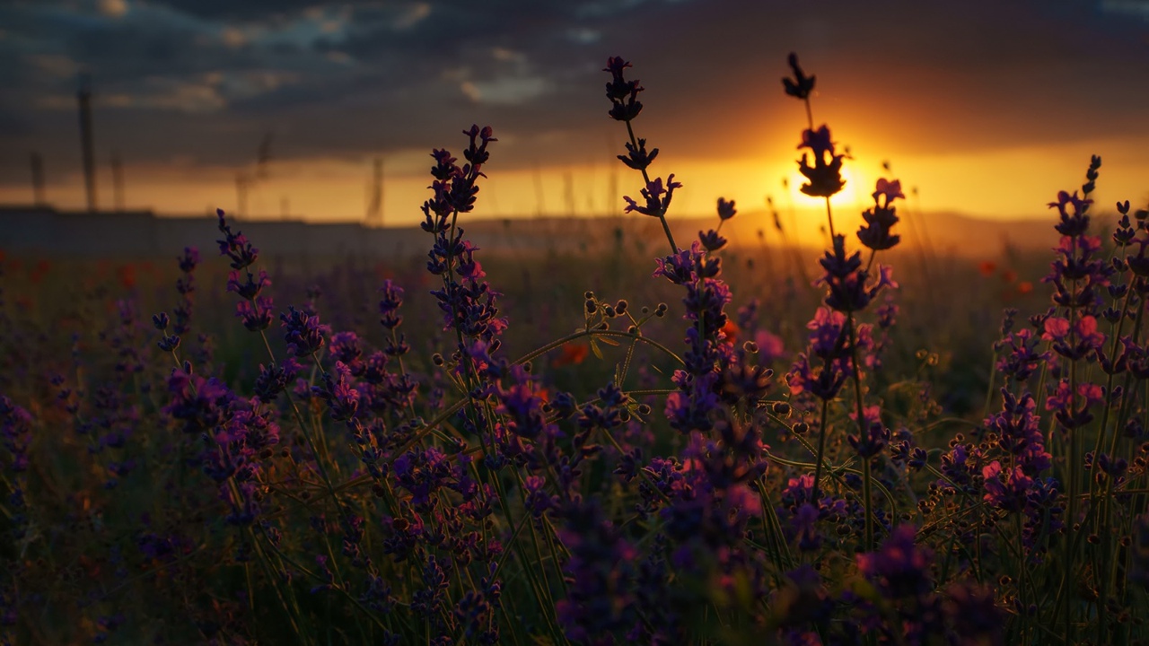 #Добрыйвечер#добрыйвечервсем#музыкальныеоткрытки#вечер #спокойночисладкихснов
#музыкальныеоткрыткид