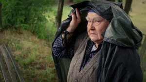 ПРОДЕЛКИ СЕЛЬСКОЙ ВЕДЬМЫ истории из жизни ПРОДЕЛКИ ВЕДЬМЫ