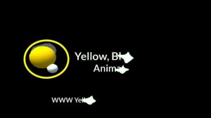 Yellow, Black And White Logo 2002-2003-2004