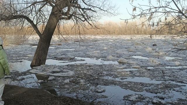 Ледоход на Урале. 22.03.2023 г. смотреть онлайн