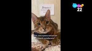 Заставка Карусель играть + смена логотипа Карусель 22 (24.03.2023 18:15)