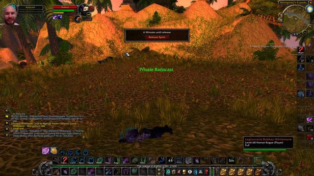 BiS Rogue vs Average Feral Druid... @BobkaWoW смотреть онлайн