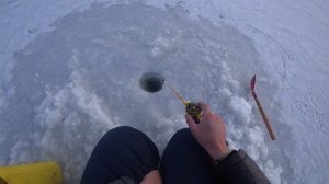 Зимняя рыбалка с ночёвкой на жерлицы (флажки)!!! Приятный утренний бонус!