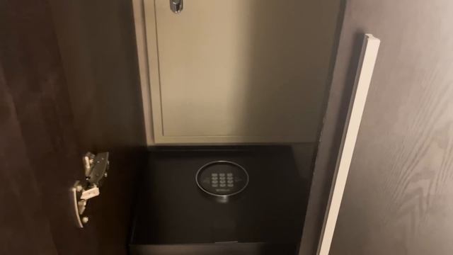 明洞にある日系ホテルに泊まって明洞を満喫する旅🇰🇷 смотреть онлайн