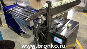 Упаковка яблок по 1 штуке на Bronkomatic-160B