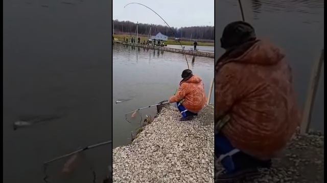 3 ноября 2022 г. смотреть онлайн