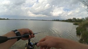 Favorite blue bird + Favorite sapphire 2500s Микроджиг. БЕШЕНЫЙ ОКУНЬ