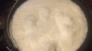 первая дойка сколько дает молозиво симментальская порода кормление теленка