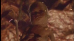 Massive Attack - Teardrop (Directed By Walter Stern)