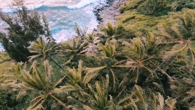 REMOVU K1 - Marriage смотреть онлайн