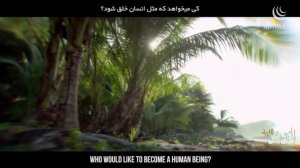 ПОЧЕМУ Создатель испытывает нас?