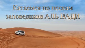 Катаемся по пескам заповедника АЛЬ ВАДИ (AL WADI NATURE RESERVE) в ОАЭ