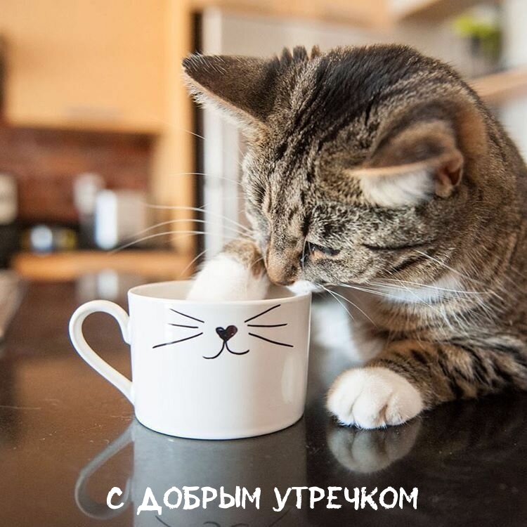Доброе Утро! Прикольное Пожелание!