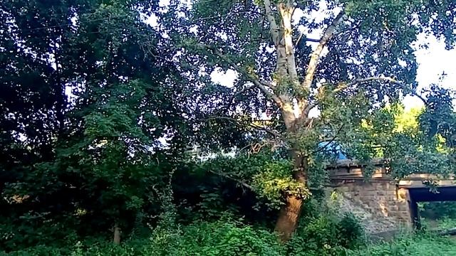 г. Лисичанск , ст. Насвитевич. смотреть онлайн