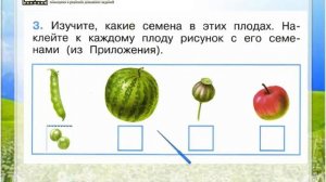 Задание 3 Что общего у разных растений? - Окружающий мир 1 класс (Плешаков А.А.) 1 часть