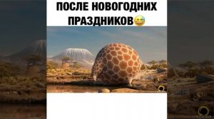 Толстый жираф толстые зебры толстый крокодил?