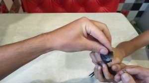 Как и чем кормить птенца стрижа?
