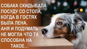 Пес скидывал посуду со стола, когда в гостях была Лена. Аня и подумать не могла что та способна на