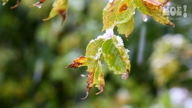 Снег за городом смотреть онлайн