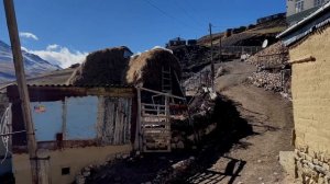 Как пахнет Родина! Дагестанское высокогорье Куруш! #дагестан #куруш