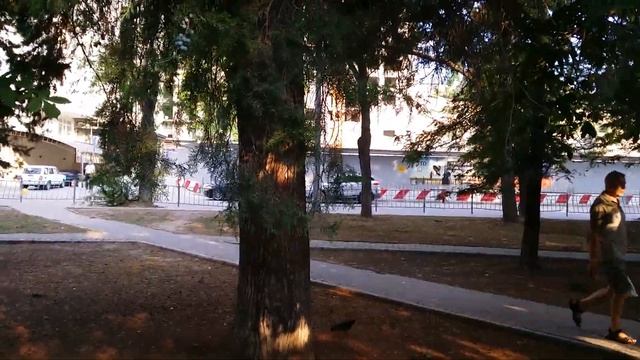 Кипарис смотреть онлайн