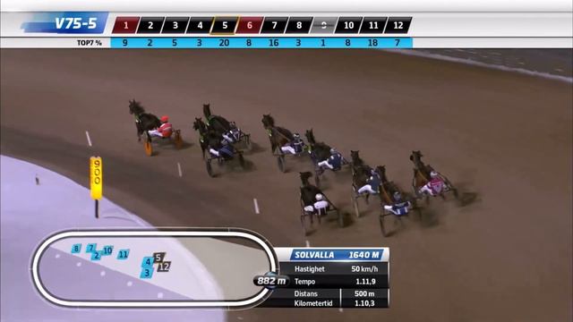 V75-5. 8 Marvellous Steel Muscle Mass US - Lady Josephine DEDiamond Way DE